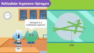 Cells Unicellular Organisms and Multicellular Organisms [upl. by Elly]