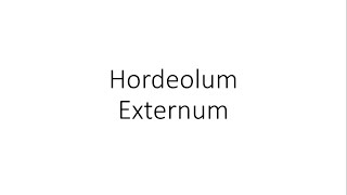 Hordeolum Externum Stye  Ophthalmology [upl. by Ttsepmet593]