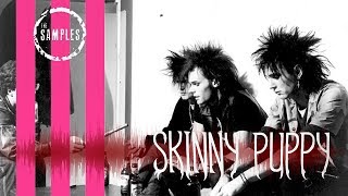 The Samples SKINNY PUPPY Edition [upl. by Elke]