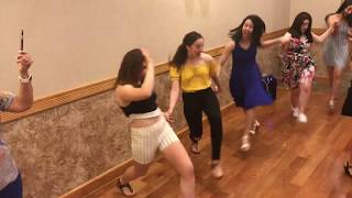 Lebanese Dabke Ladies [upl. by Samul]