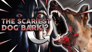 TOP 10 SCARIEST DOG BARKS Which Breed Has The Loudest Scariest Bark [upl. by Orlan]