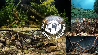 Biotope aquarium design contest 2018 all aquariums [upl. by Avika]