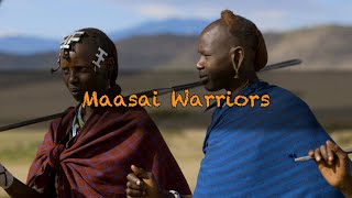 Maasai Warriors [upl. by Ricard]