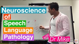 Neuroscience of Speech Language Pathology SLP [upl. by Trebmer]