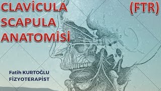 FTR Anatomi Kemik Konu Anlatımı1  ClaviculaScapula  Fizyoterapist [upl. by Amaryl]