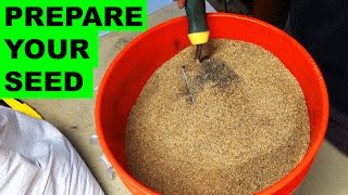 Preparing Grass Seed for Quick Germination [upl. by Gautier]