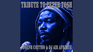 Tribute To Peter Tosh [upl. by Nylikcaj]