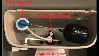 Replacing Fill Valve amp Flush Valve for Mansfield Toilet [upl. by Cadal]