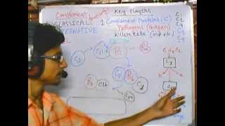 Complement system part 4 Alternative pathway [upl. by Riley]