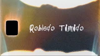 Robledo Timido  DOWNFALL Official Visualizer [upl. by Atrebla921]