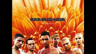 Rammstein  Herzeleid 1995 8bit full album [upl. by Pappano582]