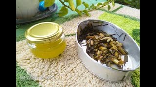 How to Make Homemade Citronella Oil [upl. by Emalee]