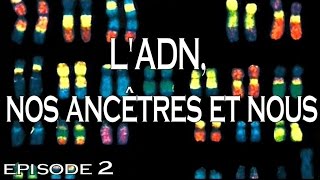 2  LADN nos ancêtres et nous [upl. by Caye]