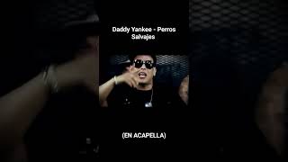 Daddy Yankee  Perros Salvajes Acapella [upl. by Drugge]