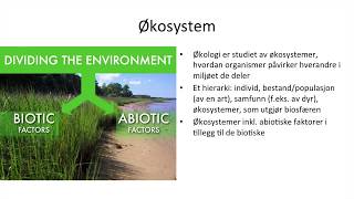 Naturfag  Økologi økosystemer og bærekraftig utvikling [upl. by Kcira812]