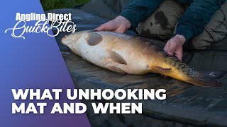 What Unhooking Mat And When  Carp Fishing Quickbite [upl. by Westney836]