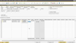 Modulo Finanzas  Asiento Contable [upl. by Allegra]