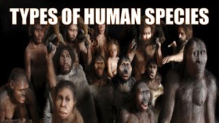 14 Different Types of Human Species  Explained [upl. by Aninay476]