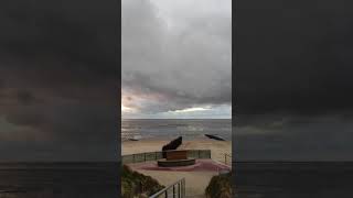 Urlaub in Cuxhaven Webcam Duhnen Kugelbake [upl. by Kwapong]