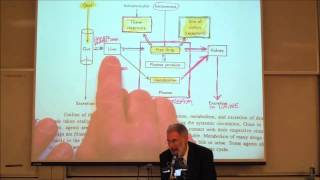 PHARMACOKINETICS Absorption amp Distribution by Professor Fink [upl. by Leonie]