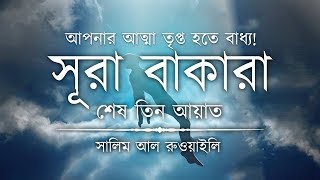 💖 আপনার অন্তর তৃপ্ত হতে বাধ্য┇ সূরা বাকারার শেষ তিন আয়াত┇Recited By Salem Ruwaili ┇An Nafee┇আন নাফী [upl. by Gautious]