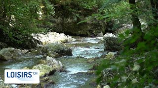 Découverte des Gorges du Taubenloch [upl. by Nytnerb]