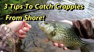 3 Crappie Fishing Tips Guaranteed To Catch Crappies From Shore [upl. by Roberts893]