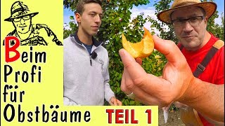 Obstbäume im Garten Tipps vom Profi Teil 1 [upl. by Nylave]