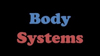 Body Systems [upl. by Einhpad]