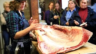 Beef Breakdown Workshop Butchering a Forequarter Cow [upl. by Firmin808]