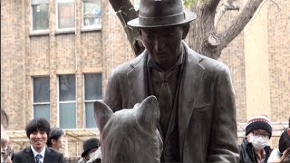 Unveiling of statue depicting Hachi and his owner [upl. by Starobin693]