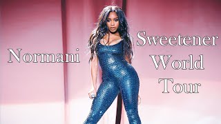 Normani  Live At The Sweetener World Tour  Filmed By You [upl. by Minny]