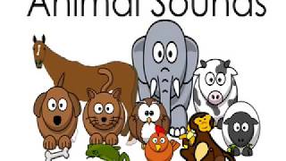 Animal Sounds Names for Children Kids Kindergarten Preschoolers Toddlers Animals Sound Effects [upl. by Tiossem757]