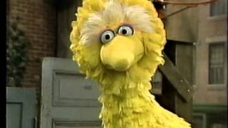 Classic Sesame Street  Big Bird The Grouch [upl. by Juni]