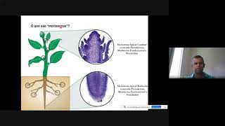 Meristemas e Desenvolvimento da Planta [upl. by Calli]