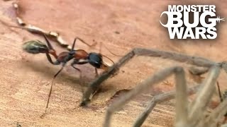 Epic Ant Battles 2  MONSTER BUG WARS [upl. by Vigor]