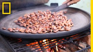 Watch the Ancient Art of ChocolateMaking  National Geographic [upl. by Lyrradal]