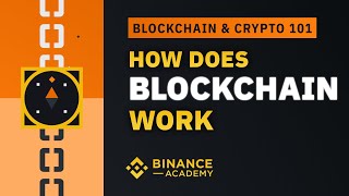 How Does Blockchain Work｜Explained for Beginners [upl. by Ynobe948]