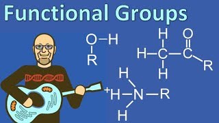 Functional Groups Explained so AP Bio Students can Understand [upl. by Margarette]