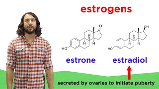 Lipids Part 2 Steroids [upl. by Ettenrahs]