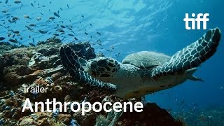 ANTHROPOCENE Trailer  TIFF 2018 [upl. by Aney]