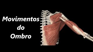 Movimentos do Ombro em 3D [upl. by Tema]