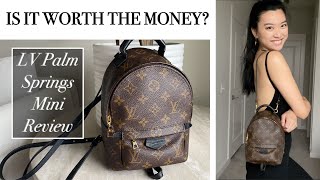 LOUIS VUITTON PALM SPRINGS MINI BACKPACK WORTH IT  Review  Wear and Tear  What Fits  How to Get [upl. by Suoirad]