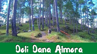 Doli Dana  Beautiful trek in Almora [upl. by Nikolaus]