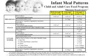 CACFP Training Meal Patterns [upl. by Eceinhoj257]