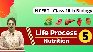 🔴Life Process Part5 Nutrition In Amoeba  Class X Biology CBSEICSENEET  By MB Mam [upl. by Lietman]