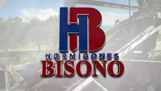 HORMIGONES BISONO [upl. by Ahset302]