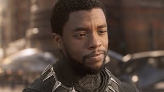 Chadwick Boseman Tribute [upl. by Irme]