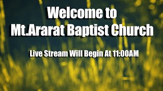 Mt Ararat Baptist Church Live Stream Bobby Kranz [upl. by Yur90]