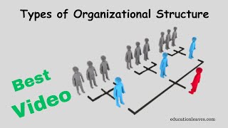 Types of Organizational Structure in management [upl. by Ailices]